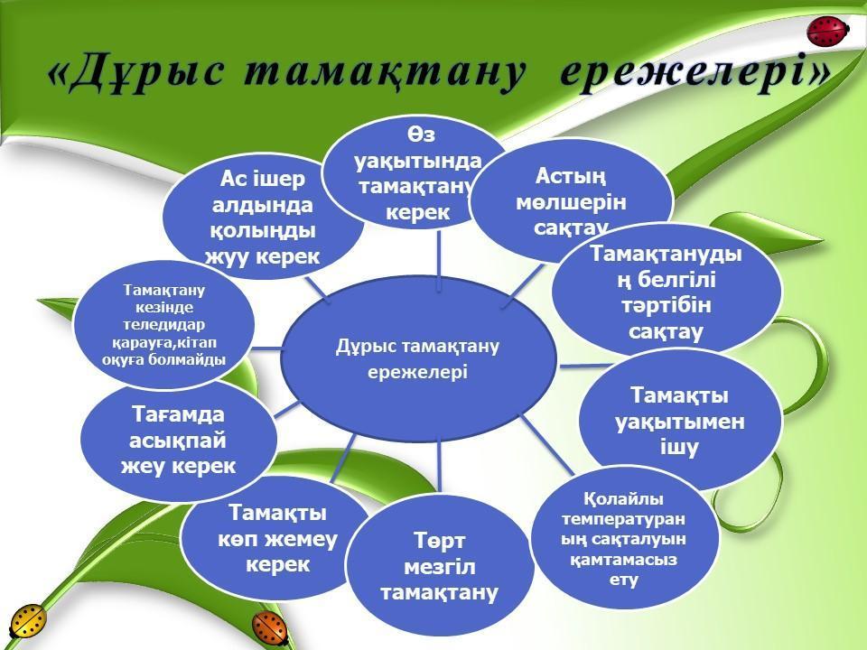 Мектептегі дұрыс тамақтану – балаларымыздың болашақ денсаулығының  кепілі.